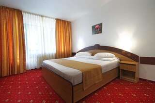 Отель Hotel Dobru Слэник-Молдова Двухместный номер с 1 кроватью-6