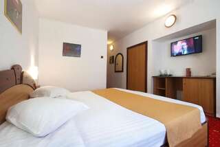 Отель Hotel Dobru Слэник-Молдова Двухместный номер с 1 кроватью-7